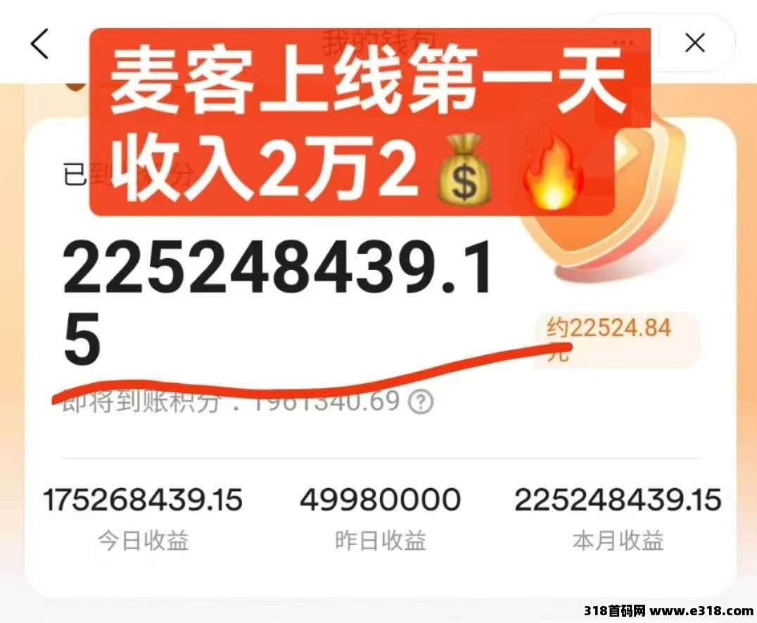 【麦客3.0】人人可做，大神一对一带你搞钱，可零撸！