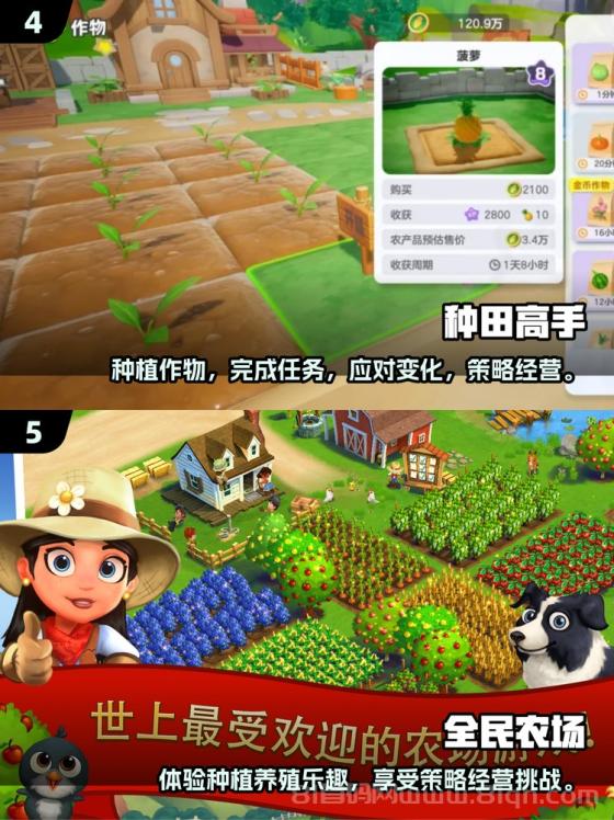 手机种菜首码：黄豆12元/天，玉米32元/天，小麦72元/天