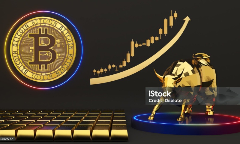 了解加密货币交易所支持的各种加密资产